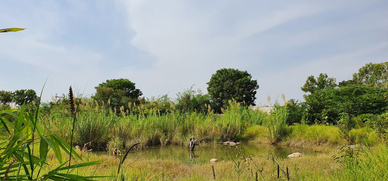  Jungle Resort in Jawai