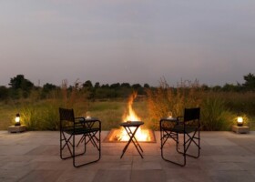 Wildlife Adventure in Jawai